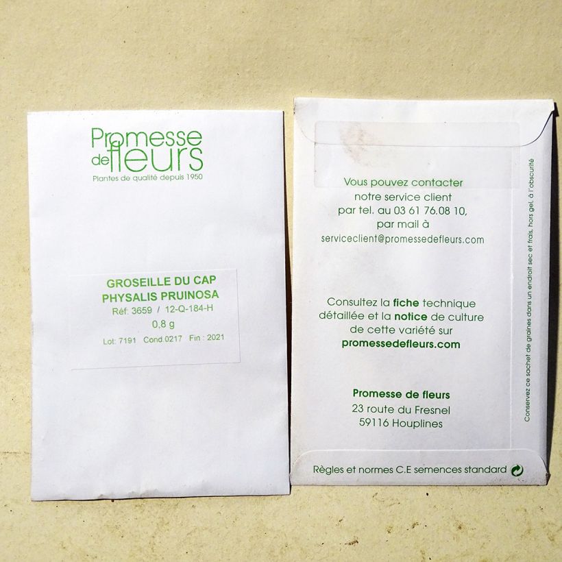 Exemple de spécimen de Groseille du Cap Preciosa - Physalis le sachet de 700 graines (minimum 0,8g) tel que livré