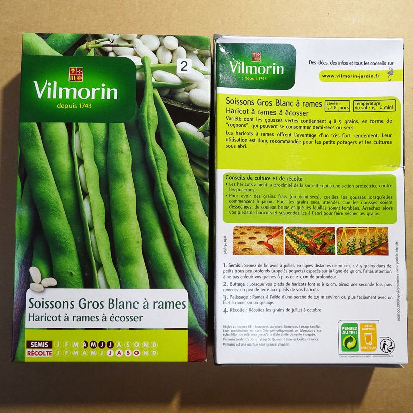 Exemple de spécimen de Haricot à rames à écosser Soissons gros blanc - Vilmorin Graines tel que livré