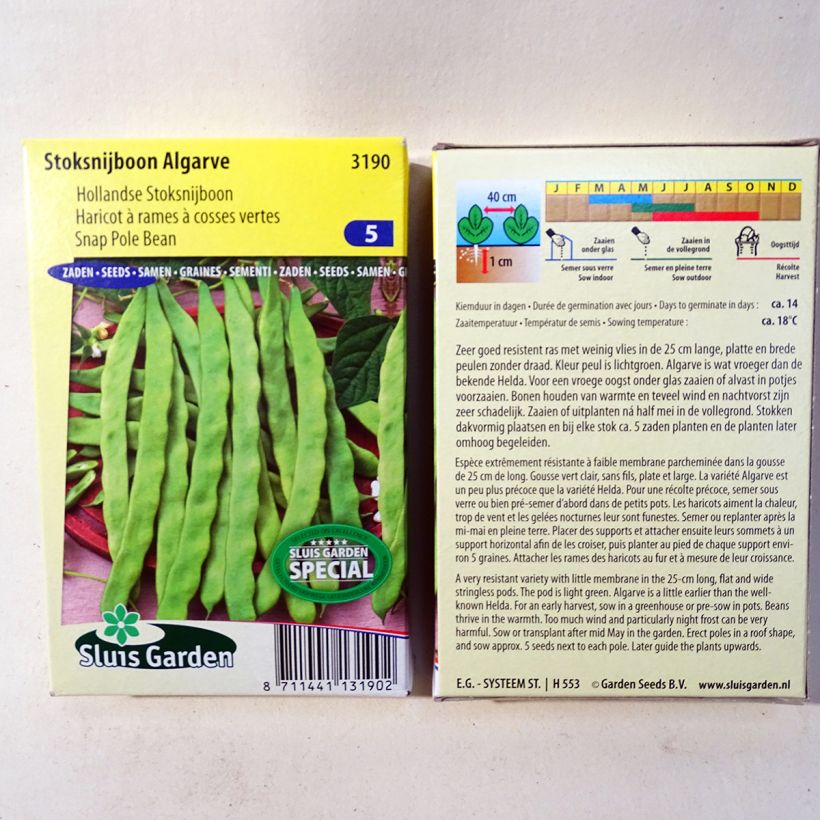 Exemple de spécimen de Haricot à rames mangetout Algarve - Coco plat Graines tel que livré