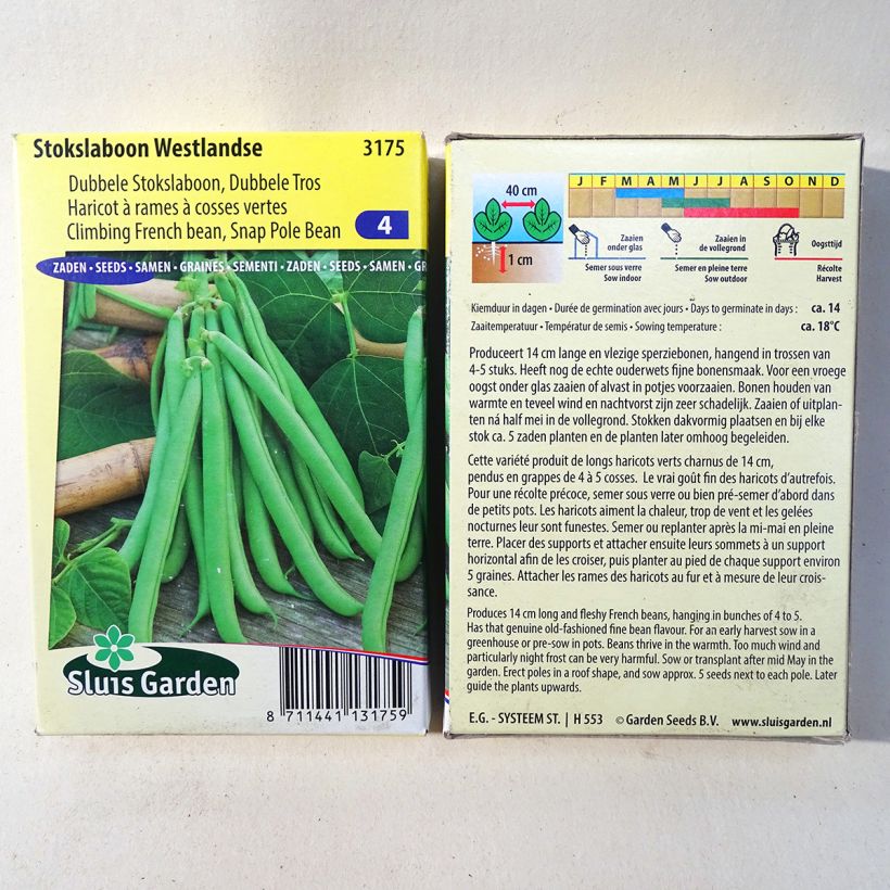 Exemple de spécimen de Haricot à rames mangetout Westlandse Graines tel que livré