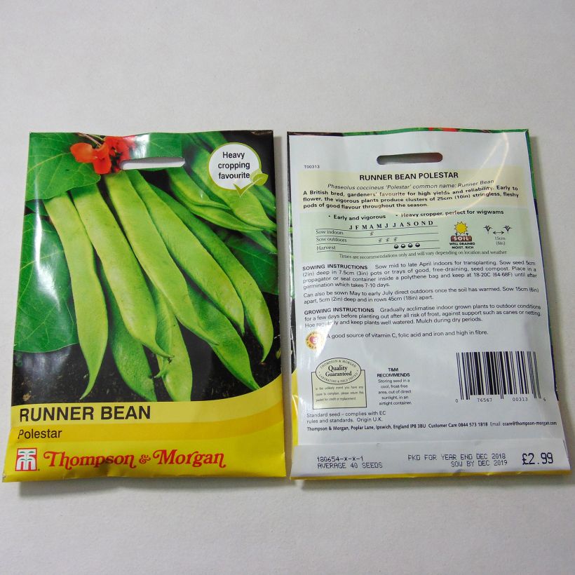 Exemple de spécimen de Haricot d'Espagne Polestar - Haricot-fleur Graines tel que livré