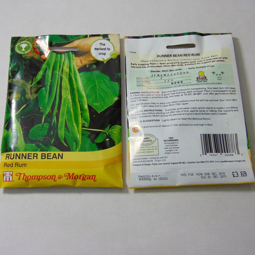 Exemple de spécimen de Haricot d'Espagne Red Rum - Haricot-fleur Graines tel que livré