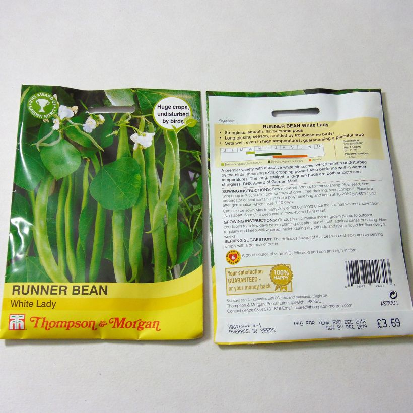 Exemple de spécimen de Haricot d'Espagne White Lady - Haricot-fleur Graines tel que livré