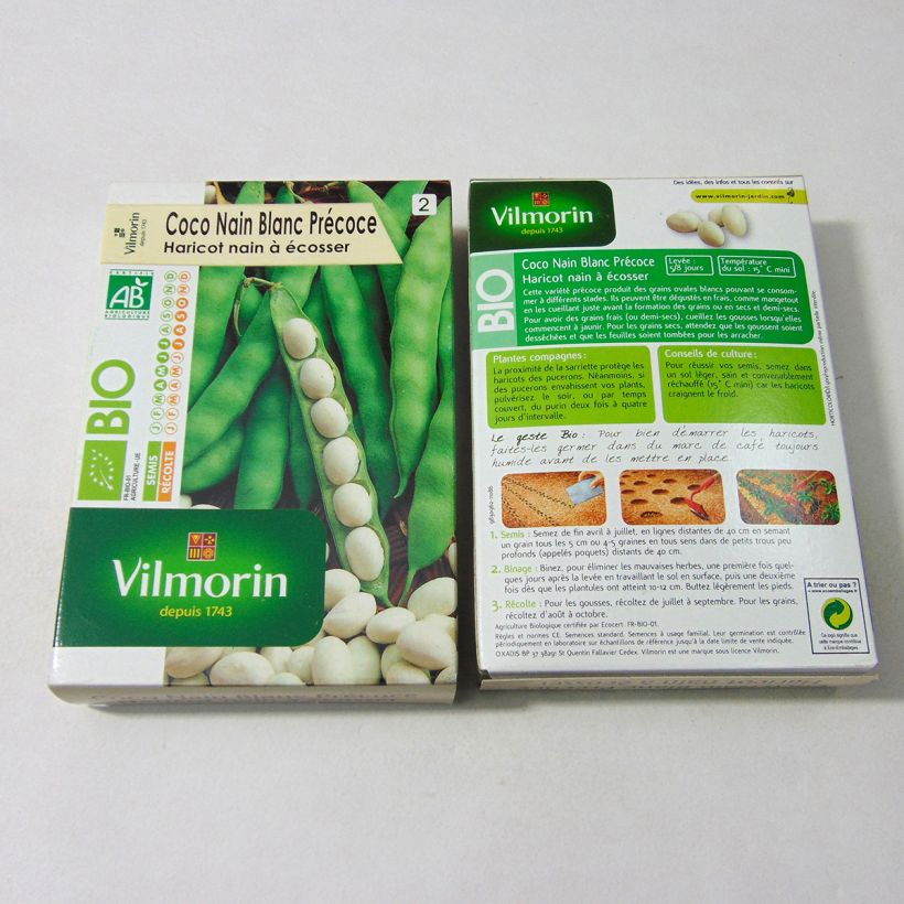 Exemple de spécimen de Haricot nain à écosser Coco Blanc précoce Bio - Vilmorin Graines tel que livré
