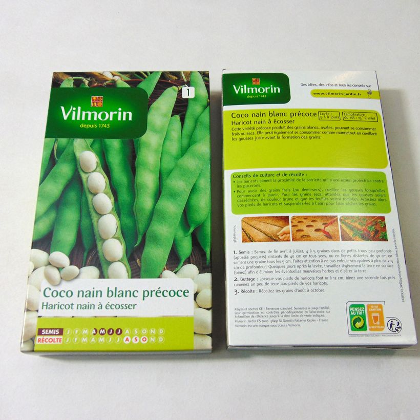 Exemple de spécimen de Haricot nain à écosser Coco Blanc précoce - Vilmorin Graines tel que livré