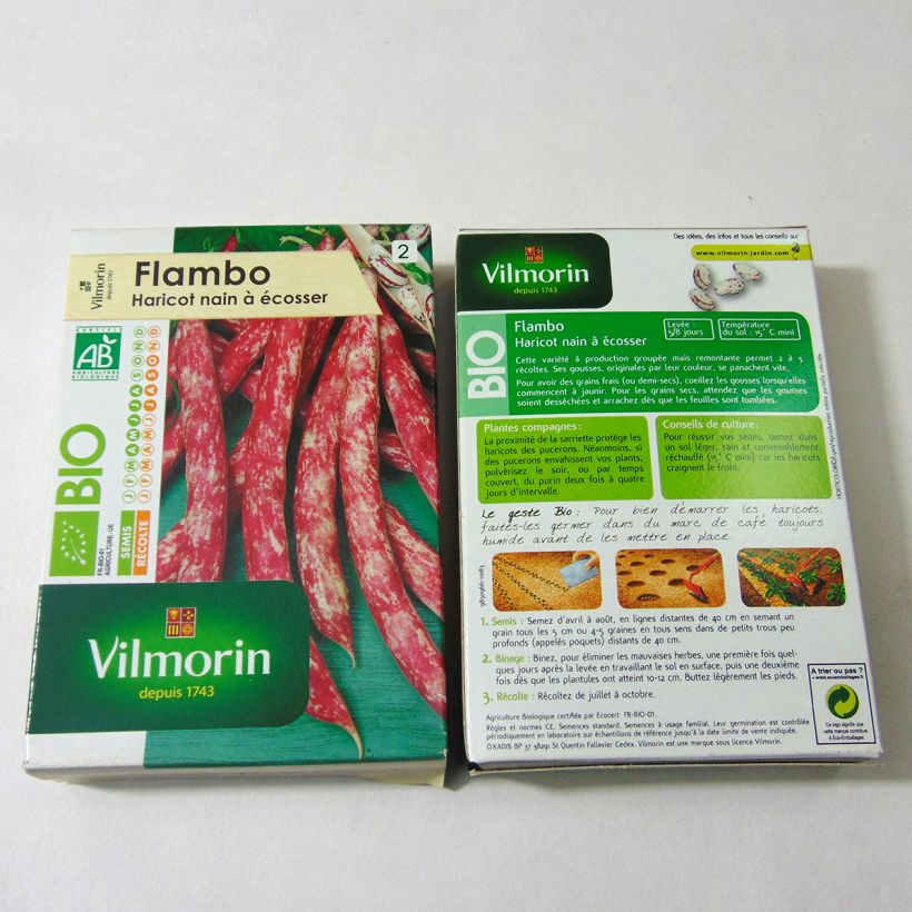 Exemple de spécimen de Haricot nain à écosser Flambo Bio - Vilmorin Graines tel que livré