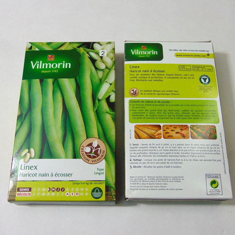 Exemple de spécimen de Haricot nain à écosser Linex (Création Vilmorin) - Vilmorin Graines tel que livré
