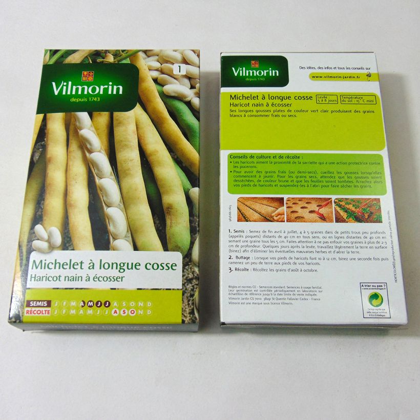 Exemple de spécimen de Haricot nain à écosser Michelet à longue cosse - Vilmorin Graines tel que livré