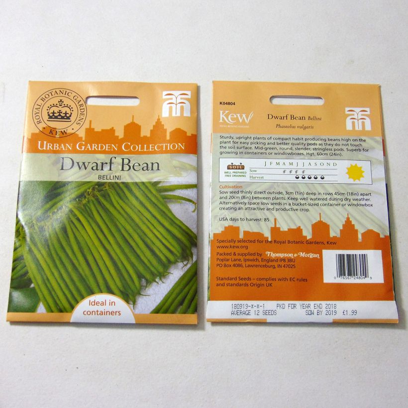 Exemple de spécimen de Haricot nain à filet Bellini le sachet de 12 graines tel que livré