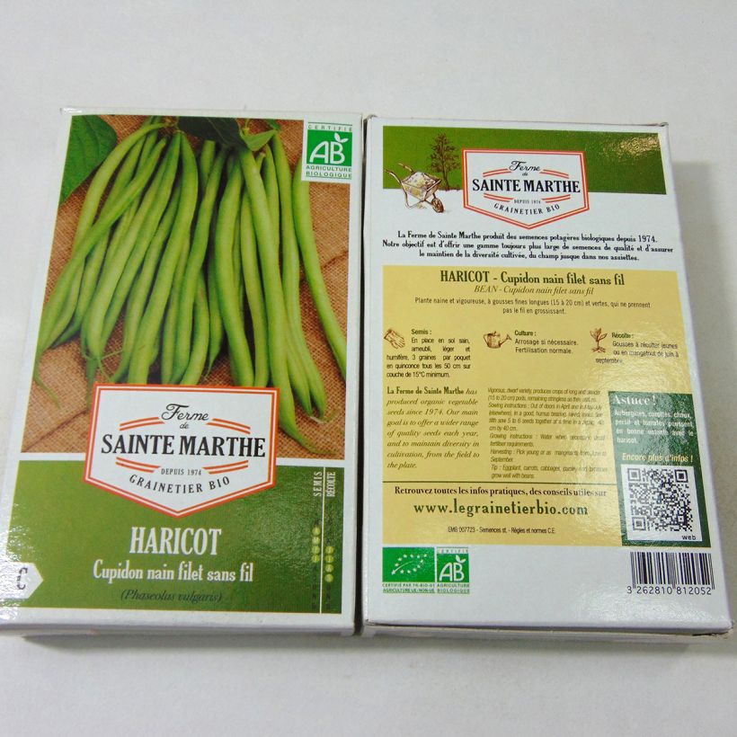 Exemple de spécimen de Haricot nain à filet Cupidon Bio Graines le sachet de 160 graines (80g) tel que livré
