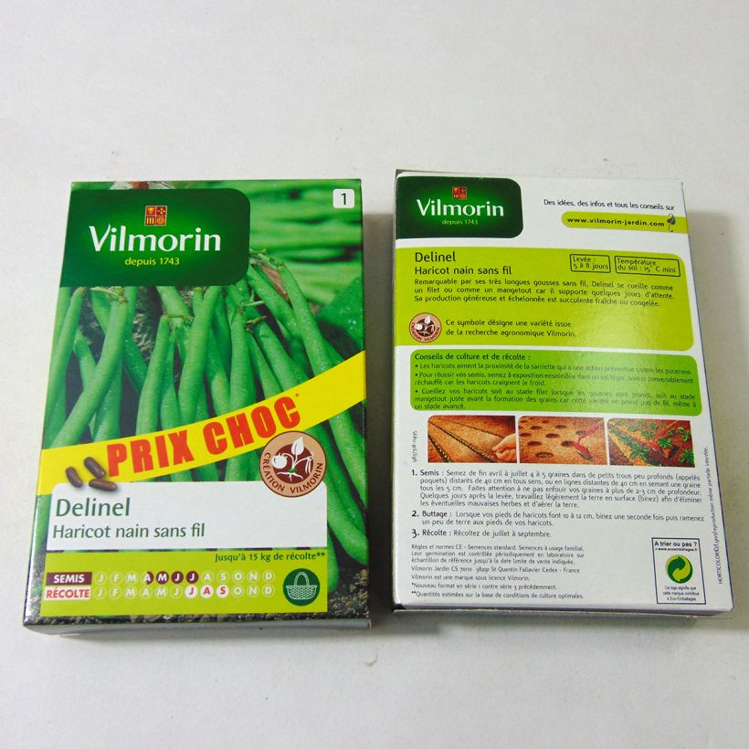Exemple de spécimen de Haricot nain à filet Delinel - Vilmorin Graines tel que livré