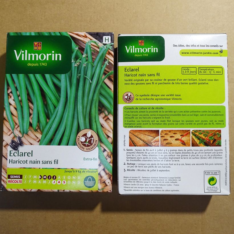 Exemple de spécimen de Haricot nain à filet Eclarel (Création Vilmorin) - Vilmorin Graines tel que livré