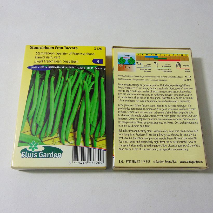 Exemple de spécimen de Haricot nain à filet Fran Toccata le sachet de 150 graines (75g) tel que livré
