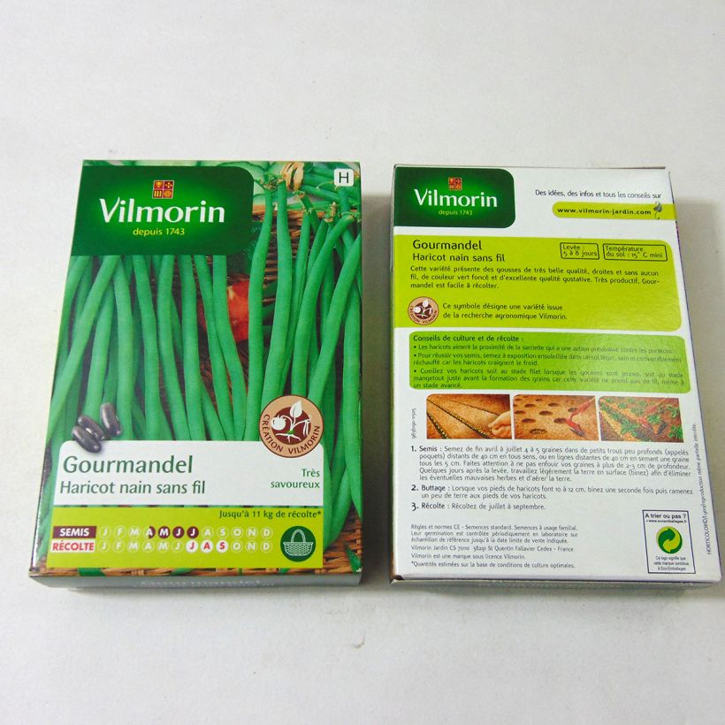 Exemple de spécimen de Haricot nain à filet Gourmandel (Création Vilmorin) - Vilmorin Graines tel que livré