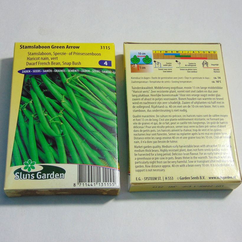 Exemple de spécimen de Haricot nain à filet Green Arrow - Phaseolus vulgaris tel que livré