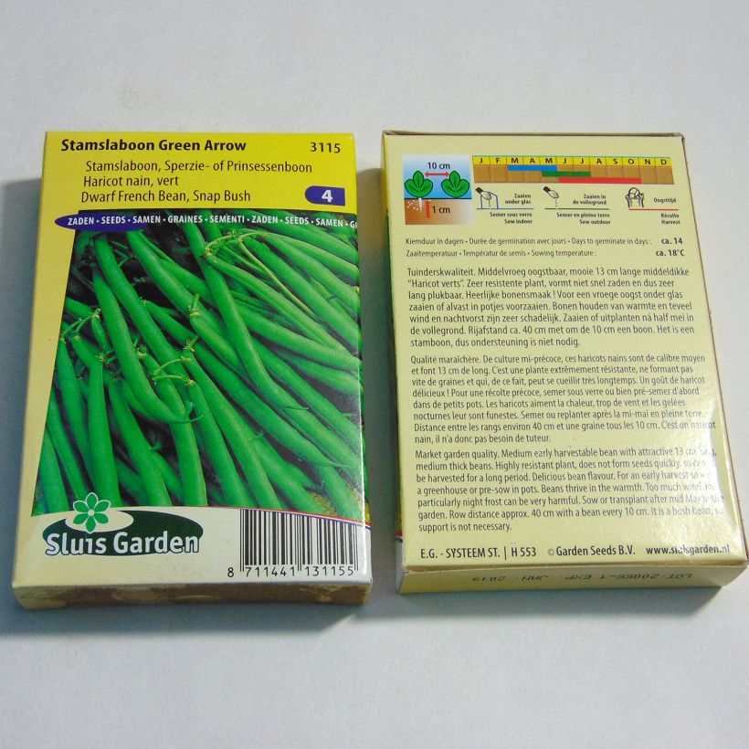 Exemple de spécimen de Haricot nain à filet Green Arrow - Phaseolus vulgaris le sachet de 150 graines (75g) tel que livré