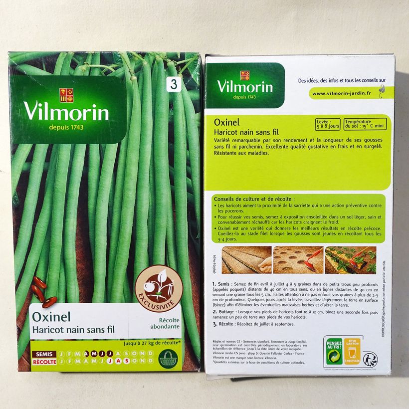 Exemple de spécimen de Haricot nain à filet Oxinel (Création Vilmorin) - Vilmorin Graines tel que livré