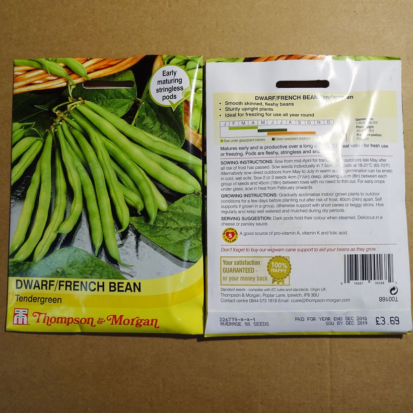 Exemple de spécimen de Haricot nain à filet Tendergreen Graines tel que livré