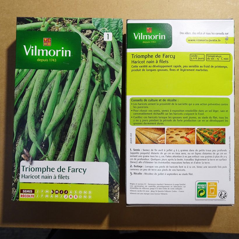 Exemple de spécimen de Haricot nain à filet Triomphe de Farcy - Vilmorin Graines tel que livré