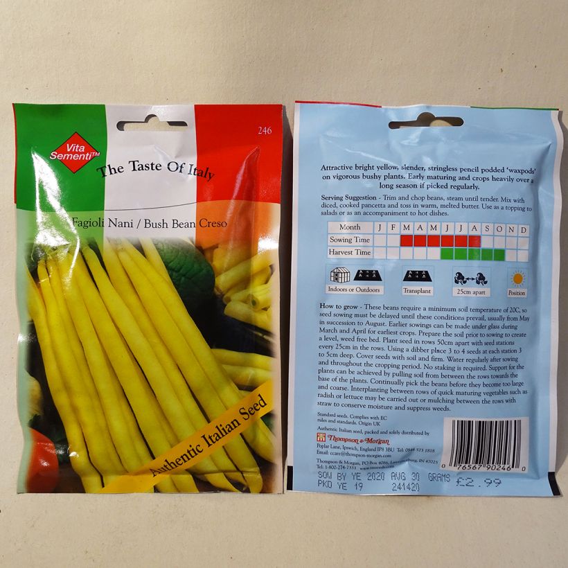 Exemple de spécimen de Haricot nain beurre à filet Creso Graines tel que livré