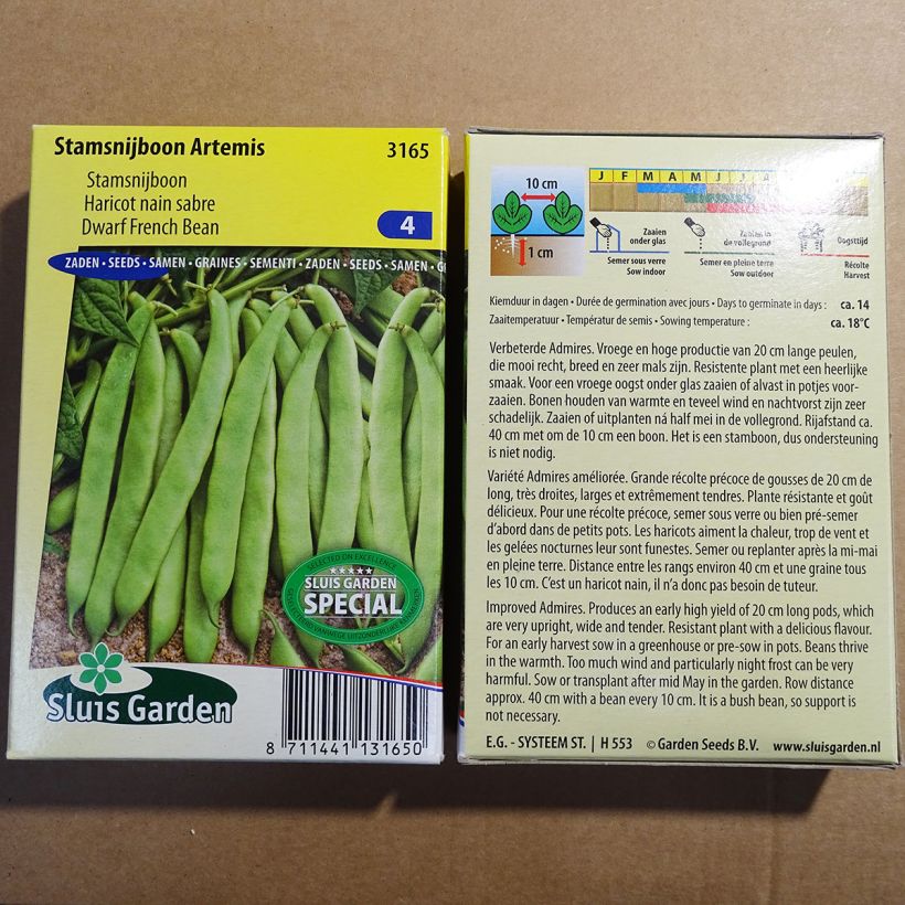 Exemple de spécimen de Haricot nain mangetout Artemis - Coco plat - Phaseolus vulgaris Graines tel que livré