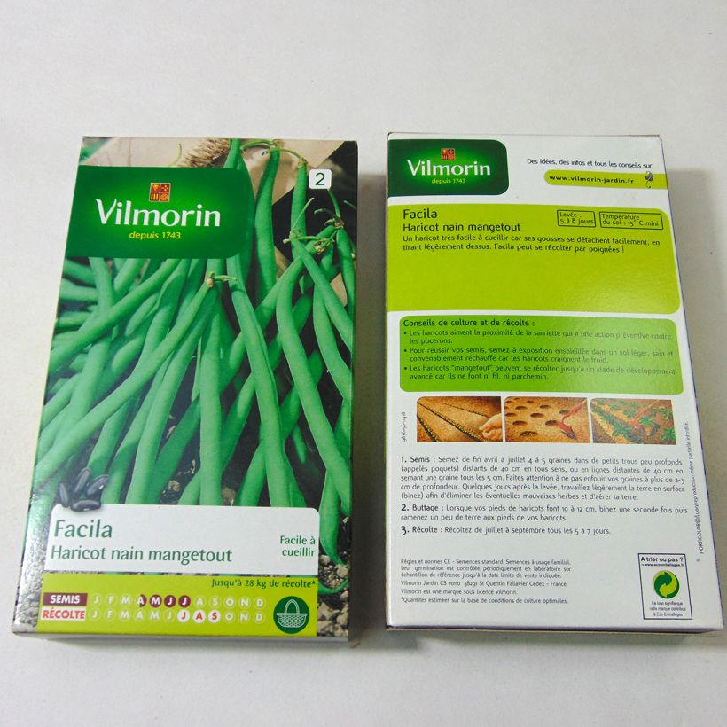 Exemple de spécimen de Haricot nain mangetout Facila (facile à cueillir) - Vilmorin Graines tel que livré
