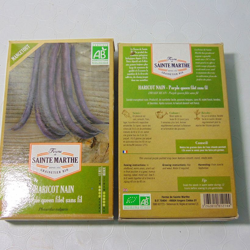 Exemple de spécimen de Haricot nain mangetout Purple Queen Bio - Ferme de Sainte Marthe  Graines tel que livré