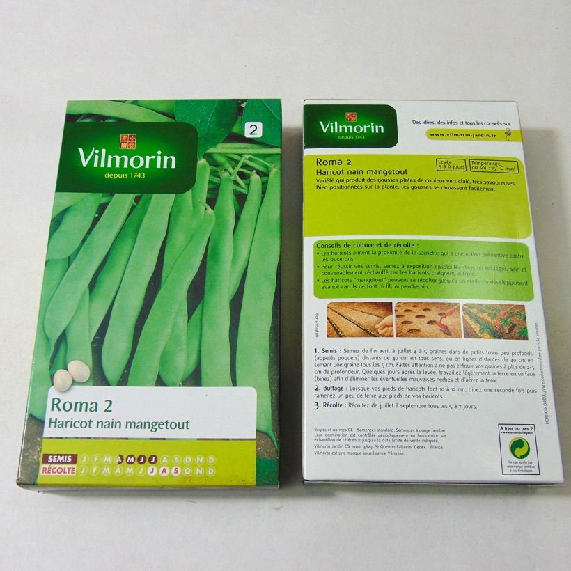 Exemple de spécimen de Haricot nain mangetout Roma 2 - Coco plat- Vilmorin Graines tel que livré