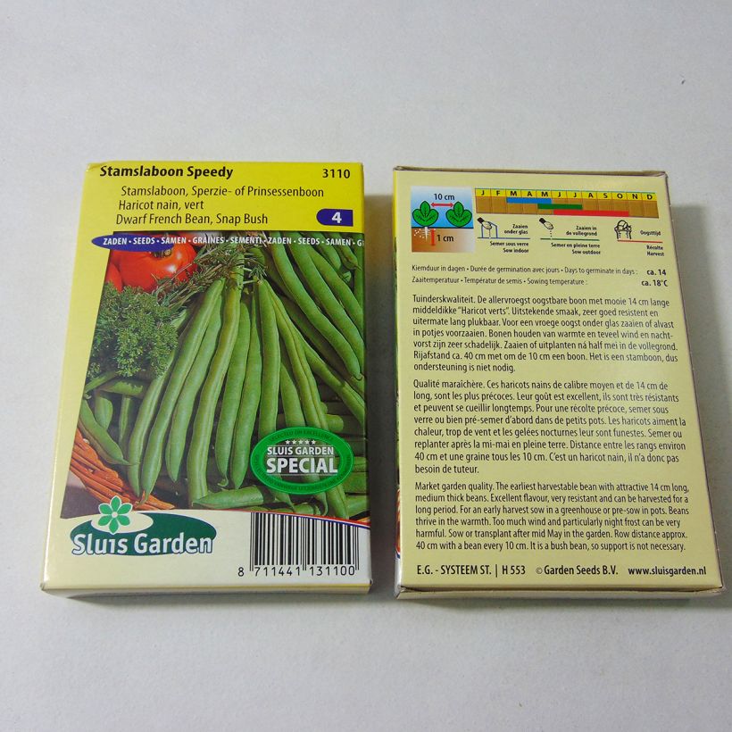 Exemple de spécimen de Haricot nain mangetout Speedy - Phaseolus vulgaris Graines tel que livré