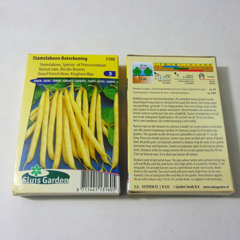 Exemple de spécimen de Haricot nain mangetout beurre Roi des Beurres - Phaseolus vulgaris - le sachet de 180 graines (90g) tel que livré
