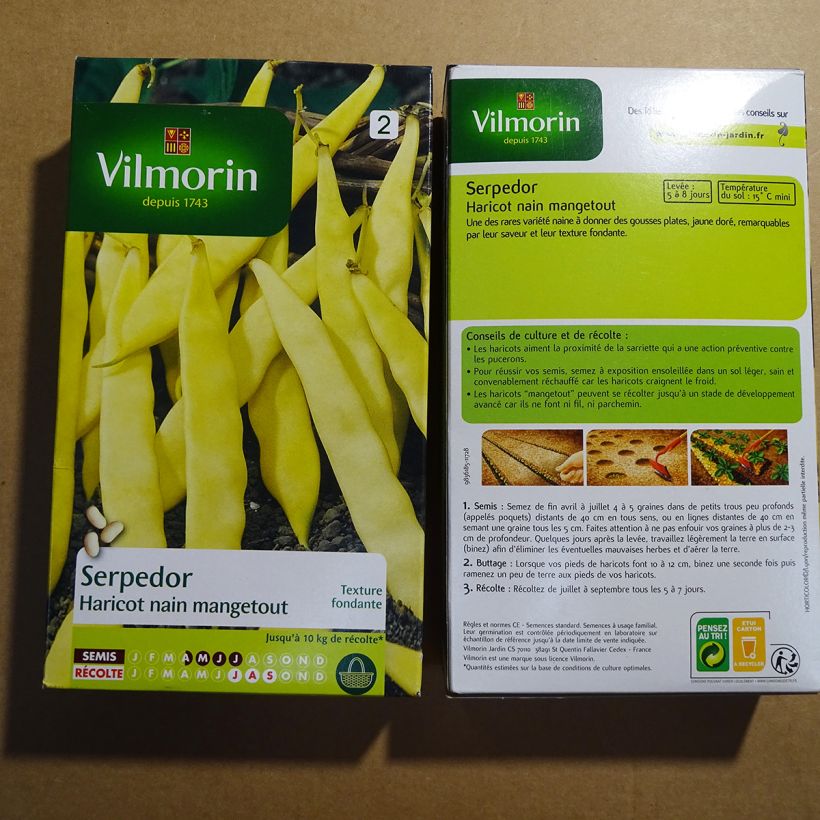 Exemple de spécimen de Haricot nain mangetout beurre Serpedor - Coco plat - Vilmorin Graines tel que livré