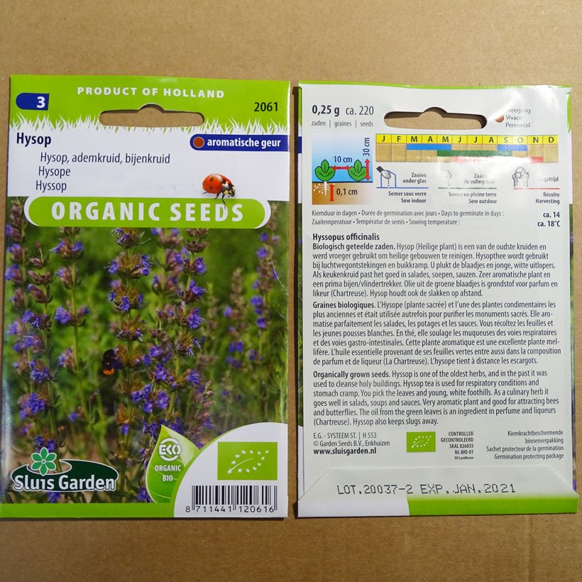 Exemple de spécimen de Hysope officinale Bio Graines tel que livré