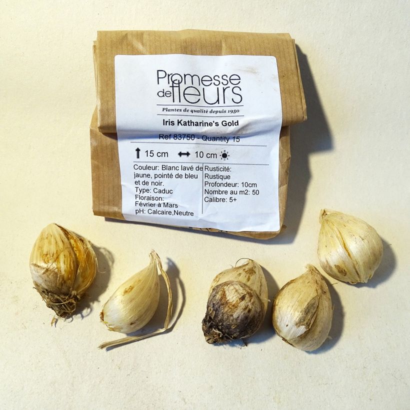 Exemple de spécimen de Iris Katharine's Gold Bulbe tel que livré