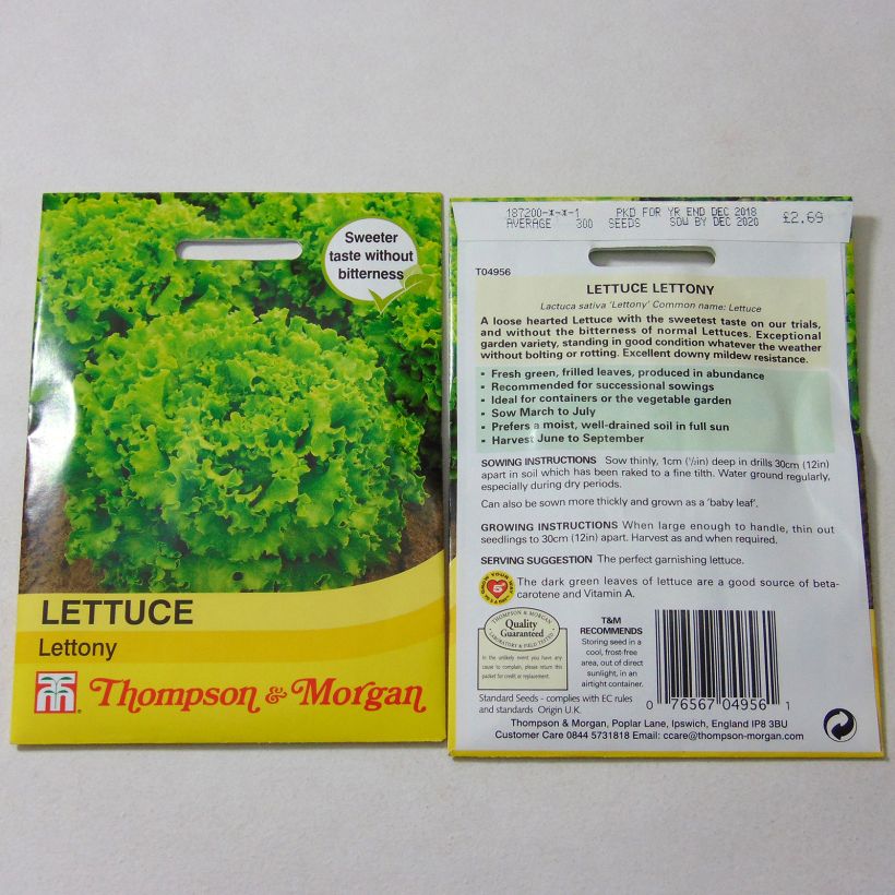 Exemple de spécimen de Laitue Batavia Lettony Graines tel que livré