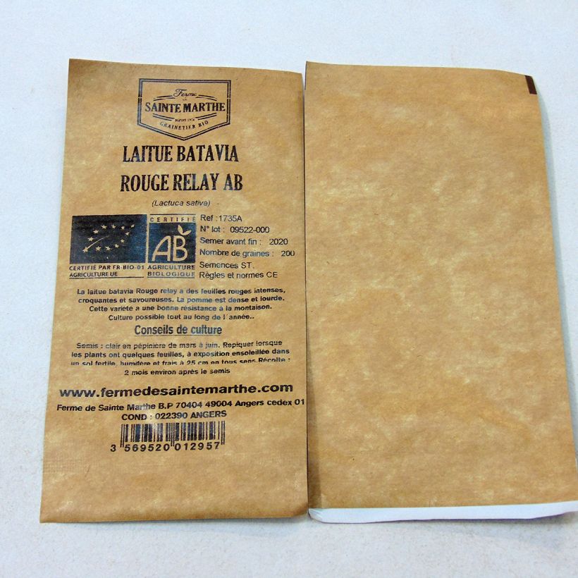 Exemple de spécimen de Laitue Batavia Rouge Relay Bio - Ferme de Sainte Marthe Graines tel que livré