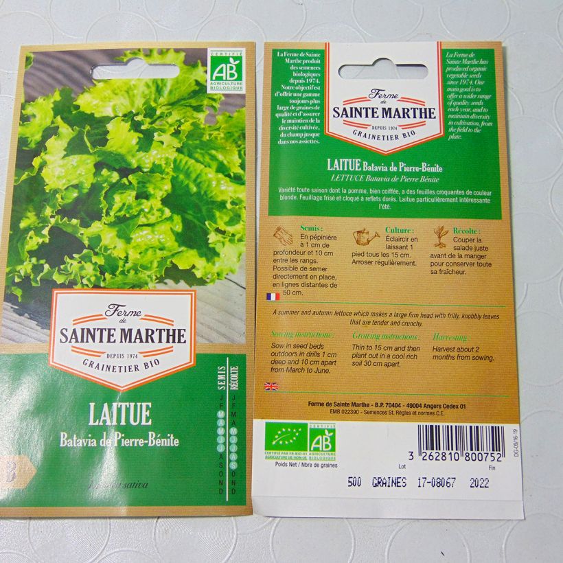 Exemple de spécimen de Laitue Batavia de Pierre Bénite Bio - Ferme de Sainte Marthe Graines tel que livré
