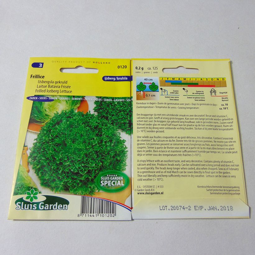 Exemple de spécimen de Laitue Batavia frisée Frillice - Lactuca sativa Graines tel que livré