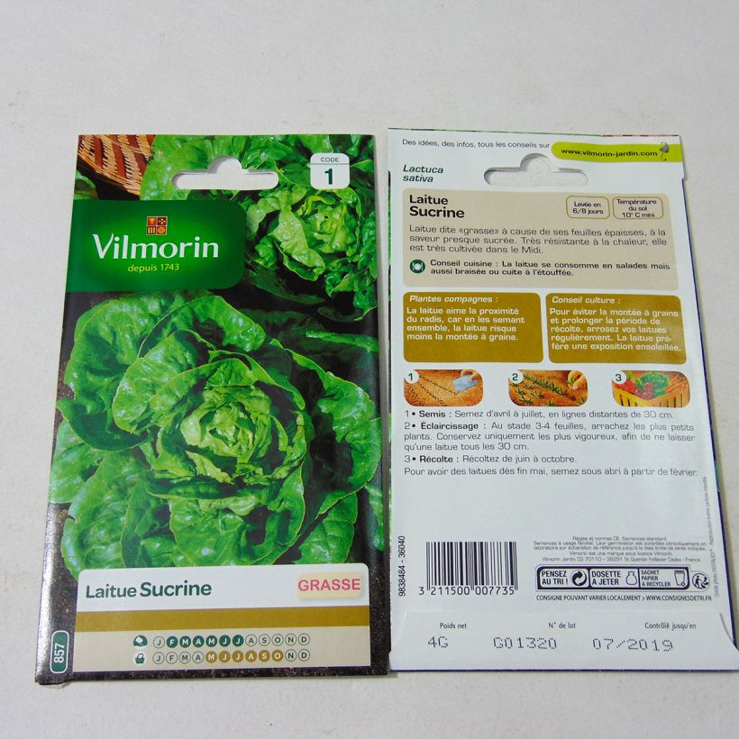 Exemple de spécimen de Laitue Grasse Sucrine - Vilmorin Graines tel que livré