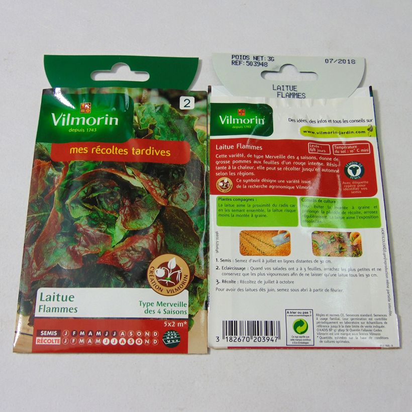 Exemple de spécimen de Laitue Pommée Flammes (Création Vilmorin) - Vilmorin le sachet de 2400 graines (3g) tel que livré