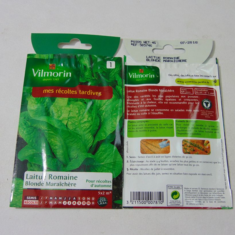 Exemple de spécimen de Laitue Romaine Blonde Maraîchère - Vilmorin Graines tel que livré