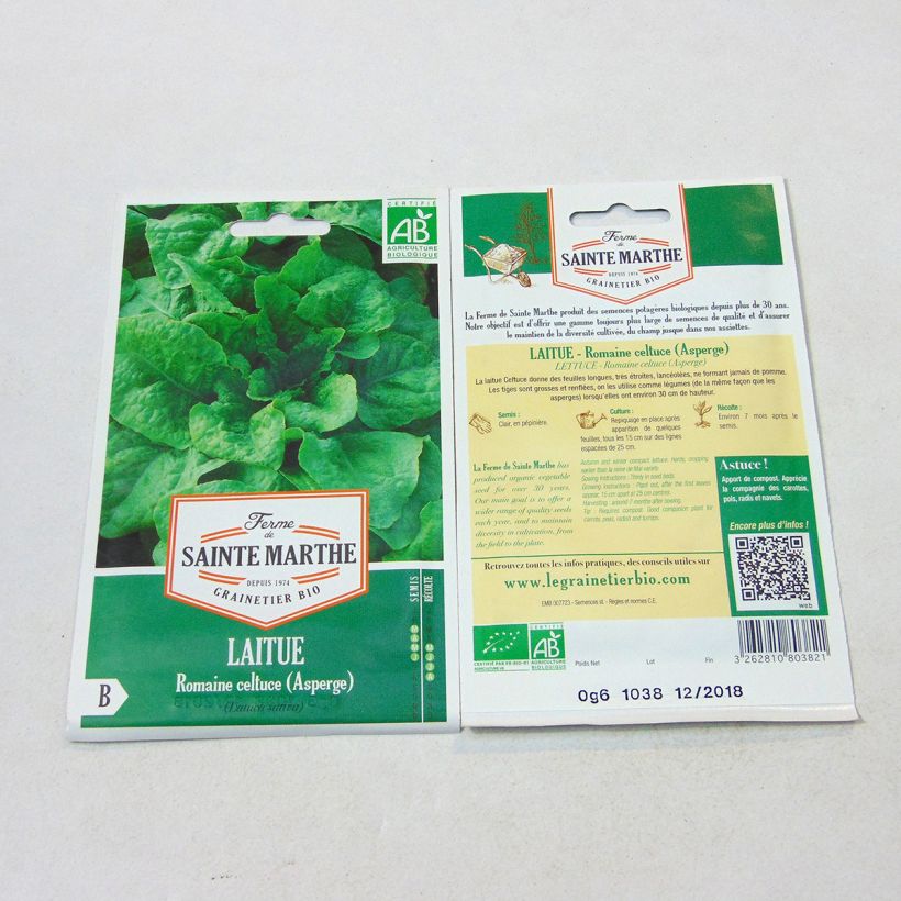 Exemple de spécimen de Laitue Romaine Celtuce (Asperge) Bio - Ferme de Sainte Marthe Graines tel que livré
