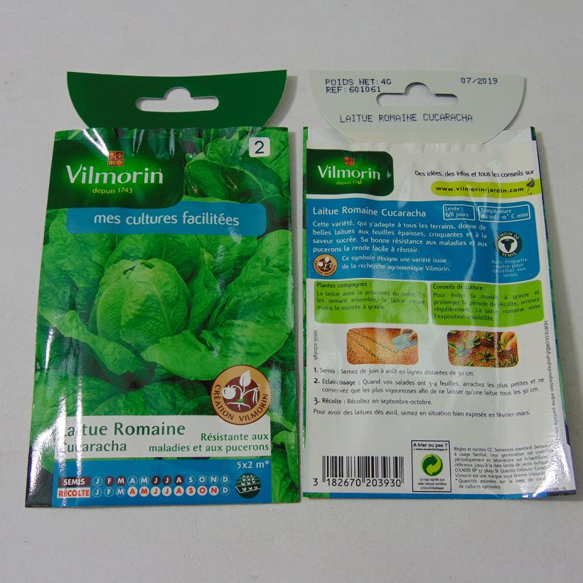Exemple de spécimen de Laitue Romaine Cucaracha (Création Vilmorin) - Vilmorin Graines tel que livré