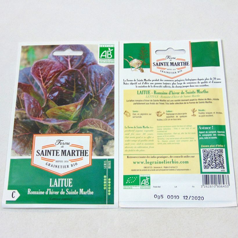 Exemple de spécimen de Laitue Romaine d'Hiver de Sainte-Marthe Bio - Ferme de Sainte Marthe Graines tel que livré