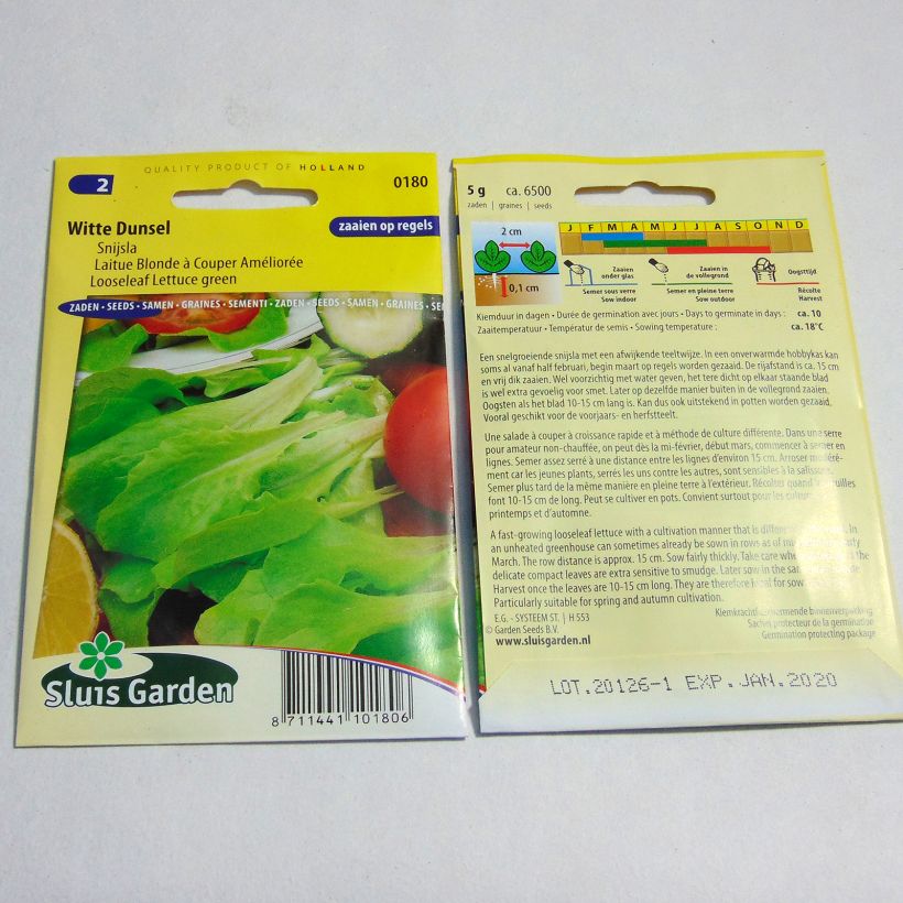 Exemple de spécimen de Laitue à couper Blonde améliorée - Lactuca sativa Graines tel que livré