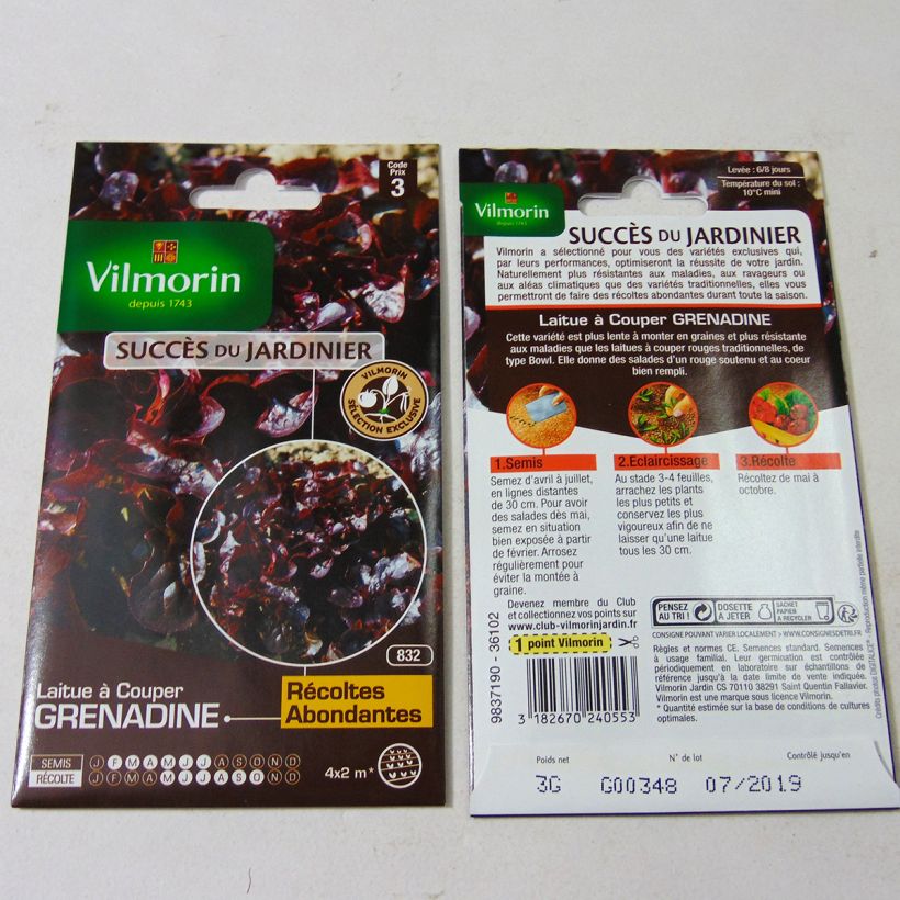 Exemple de spécimen de Laitue à couper Feuille de Chêne Grenadine (Obtention Vilmorin) - Vilmorin Graines tel que livré