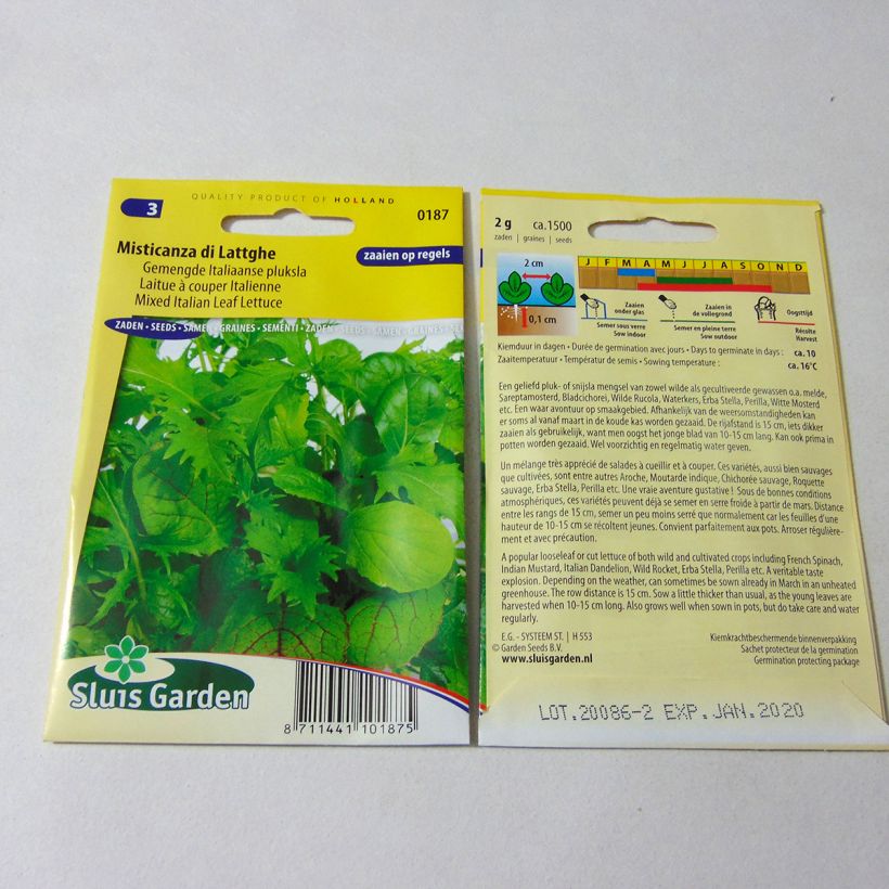Exemple de spécimen de Laitue à couper Italienne Misticanza di Lattghe - Mélange - Mesclun Graines tel que livré
