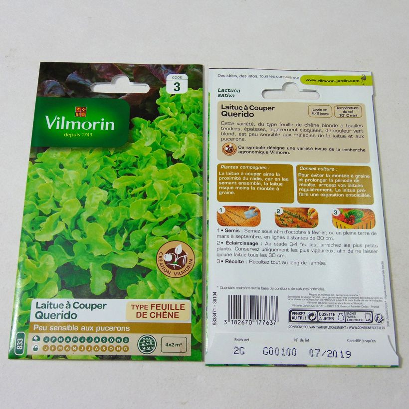 Exemple de spécimen de Laitue à couper Querido (Création Vilmorin) - Vilmorin Graines tel que livré