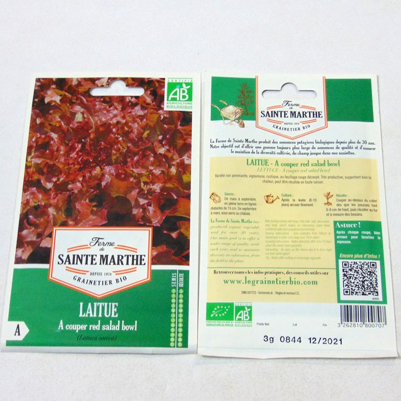 Exemple de spécimen de Laitue à couper Red Salad Bowl Bio - Ferme de Sainte Marthe Graines tel que livré