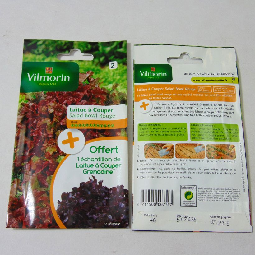Exemple de spécimen de Laitue à couper Red Salad Bowl + échantillon laitue à couper Grenadine - Vilmorin Graines tel que livré