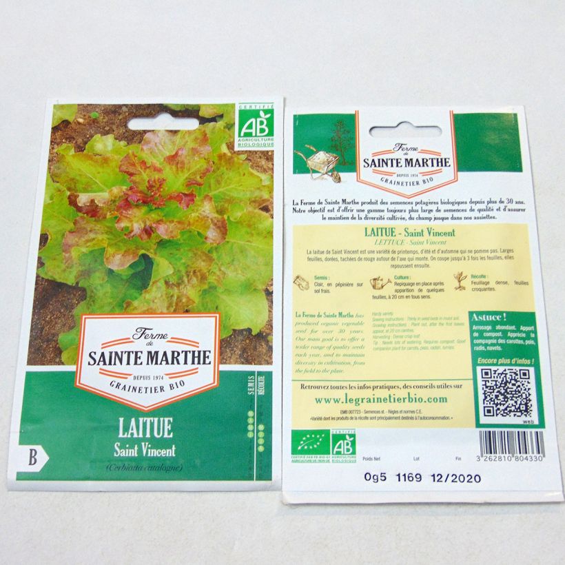 Exemple de spécimen de Laitue à couper Saint Vincent Bio - Ferme de Sainte Marthe Graines tel que livré